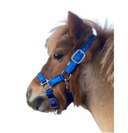 Ô le licol en nylon à...