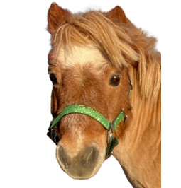 Ô le licol en nylon à...